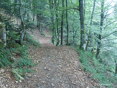 Le sentier redescendant vers la vallée de la Moselle depuis la Pransière